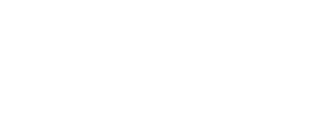 Snyder Authority
